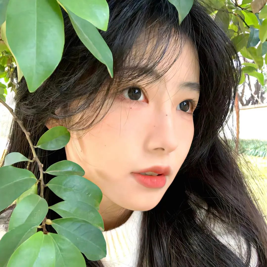 大象菩提